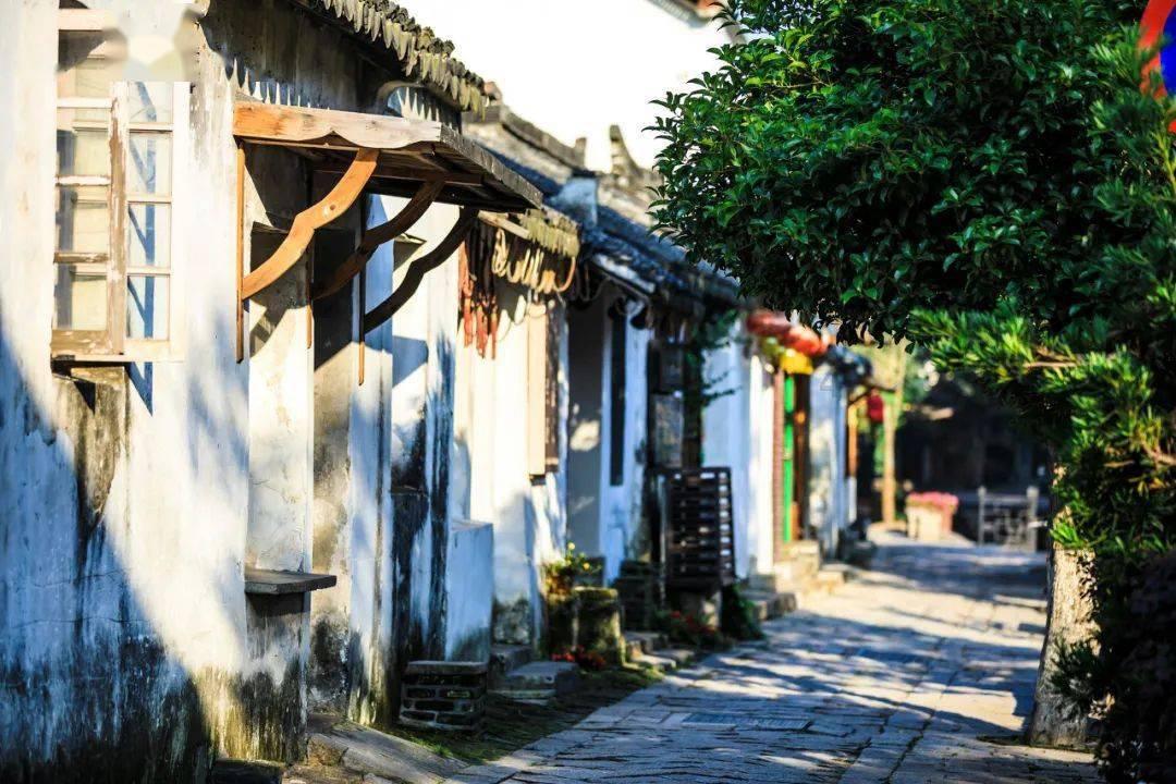 系带夏装